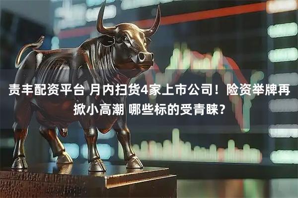 责丰配资平台 月内扫货4家上市公司！险资举牌再掀小高潮 哪些标的受青睐？