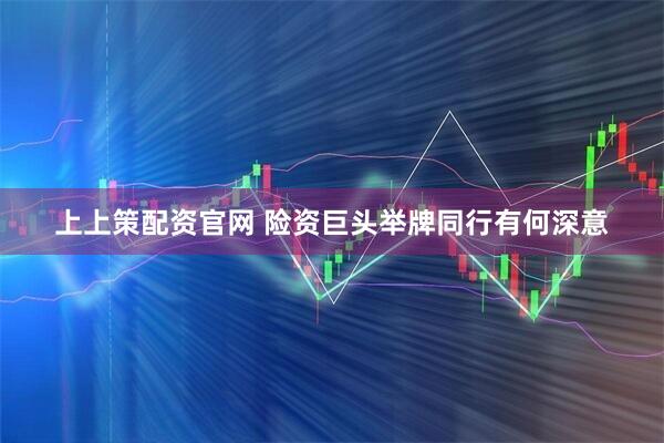 上上策配资官网 险资巨头举牌同行有何深意